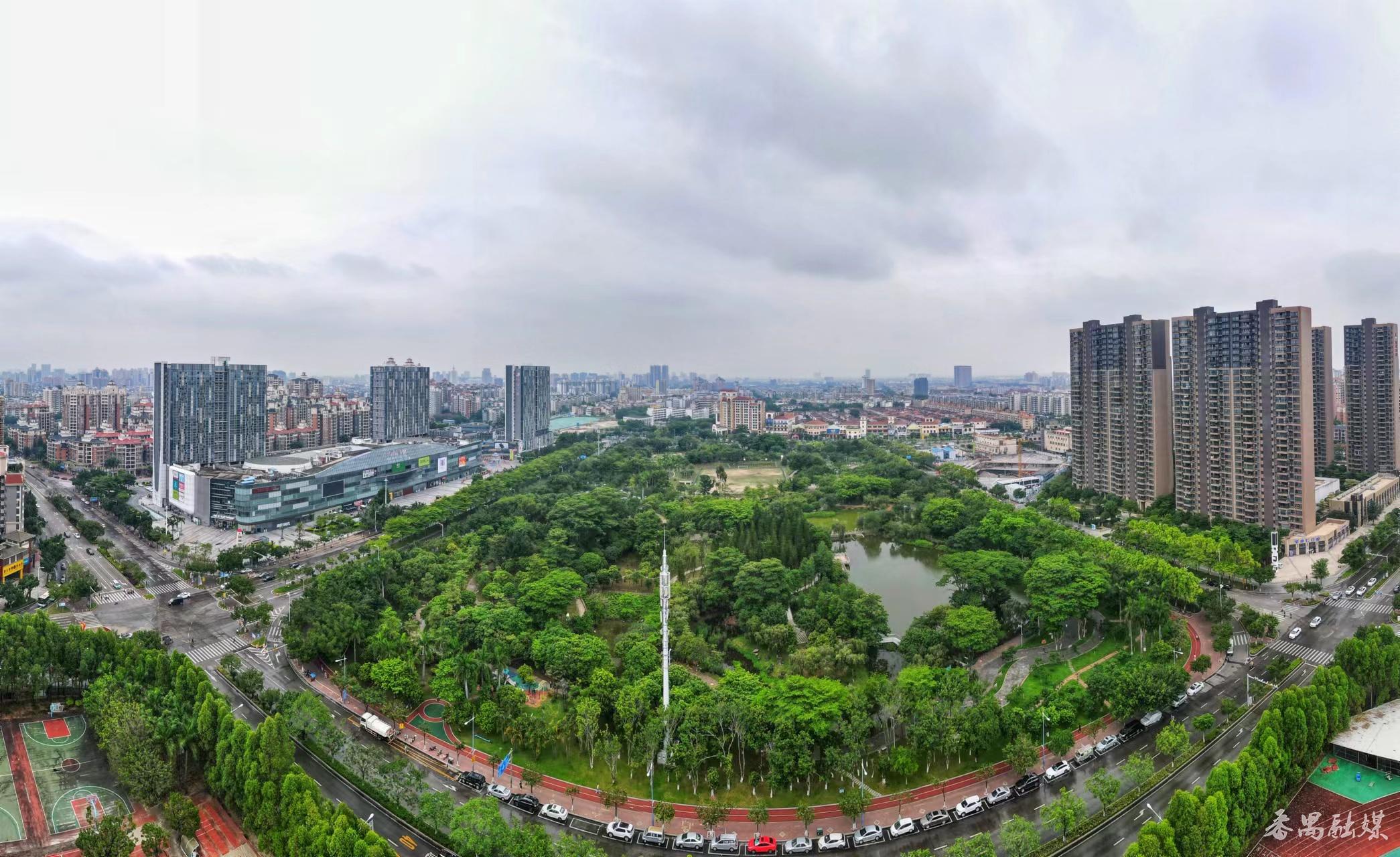 番禺桥南街的"后花园"